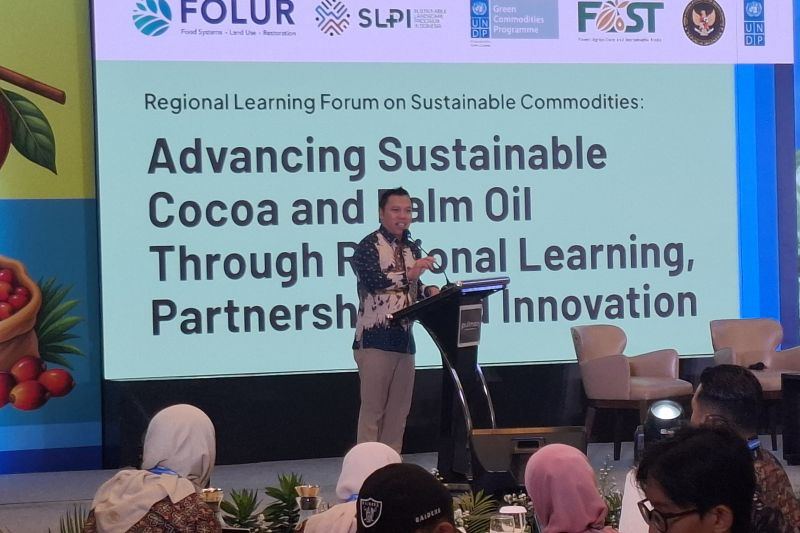 Kemenko Pangan: Agroforestri perkuat ketahanan produksi kakao