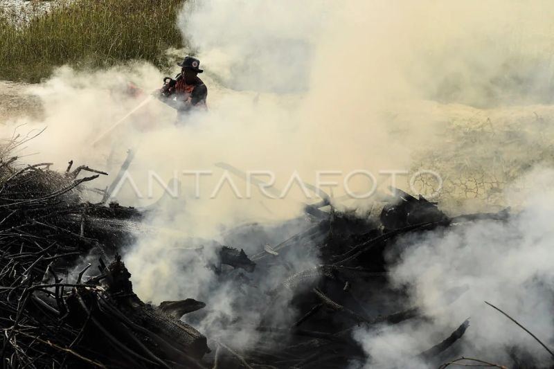 DPR dukung penegakan hukum karhutla agar jadi efek jera