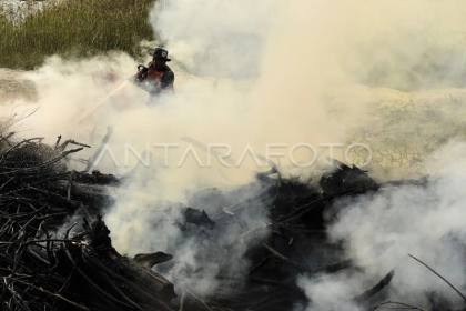 DPR dukung penegakan hukum karhutla agar jadi efek jera