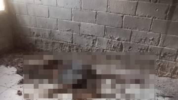 5 Tahun Hilang, Kakak-Adik di Banyuasin Sumsel Ditemukan Tinggal Kerangka