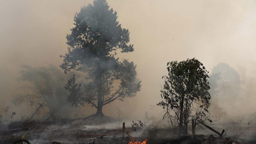Tangani Kebakaran Hutan, Kemenhub Terbitkan 35 Izin Pesawat Asing