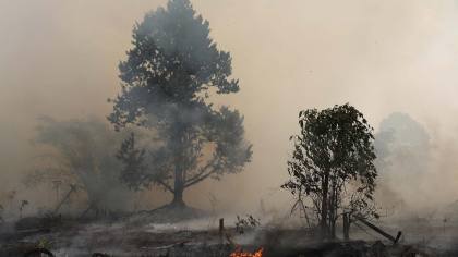 Tangani Kebakaran Hutan, Kemenhub Terbitkan 35 Izin Pesawat Asing