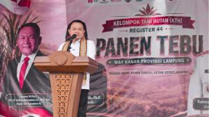 BNPB Gunakan Drone Thermal Cari Titik Api di Kalsel