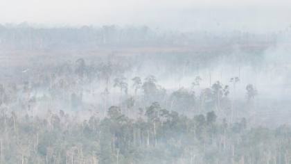 Kabut Asap Muncul Dekat Bandara, Lahan 8.900 Hektar Terbakar