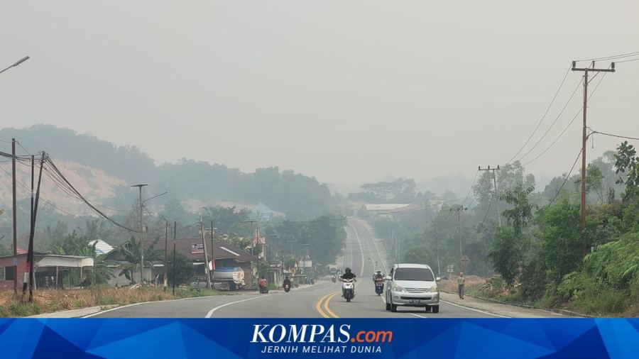 Bencana Jangka Panjang Itu Bernama Karhutla...