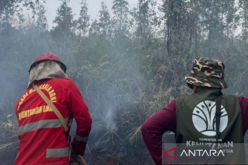Tim gabungan padamkan karhutla di dua desa Cagar Alam Teluk Adang