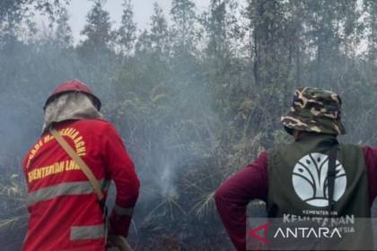 Tim gabungan padamkan karhutla di dua desa Cagar Alam Teluk Adang