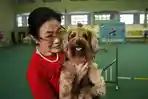 30 Ucapan Hari Anjing Sedunia 2026 Cocok Jadi Caption di Sosial Media