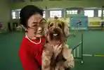 30 Ucapan Hari Anjing Sedunia 2026 Cocok Jadi Caption di Sosial Media