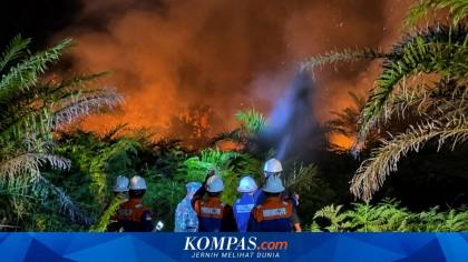 Menakar Perlunya Status Bencana Nasional untuk Karhutla...