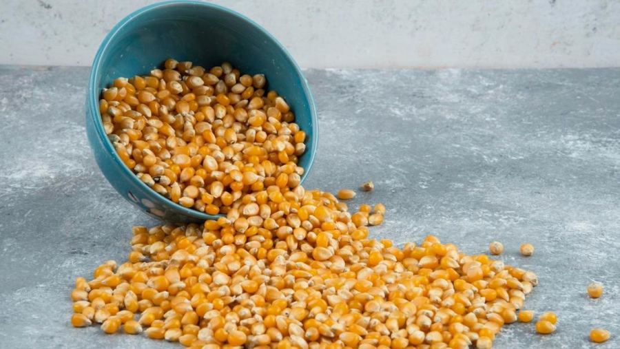 Tak Kuat Digaji Rp 200 Juta, Pilih Berkebun Penghasilan Rp 26.300