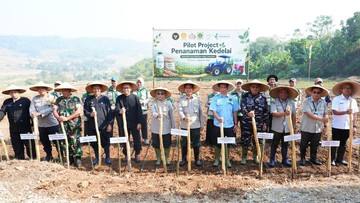 Lahan Pilot Project Kedelai Cariu Diproyeksikan Naik Jadi 100 Ha di 2027
