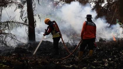 Bupati Kalbar Minta Perusahaan Ikut Bantu Atasi Karhutla