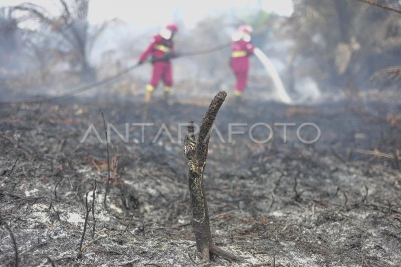 Kemenkes siapkan rekomendasi PJJ saat udara memburuk, respons karhutla