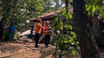 Angin Kencang Bikin Tumbang Pohon Tua di Bogor, 2 Rumah Rusak Tertimpa