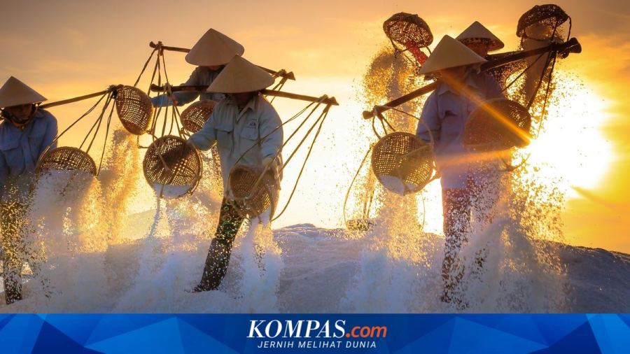 KKP Gandeng 2 BUMN untuk Kejar Swasembada Garam dalam 2 Tahun