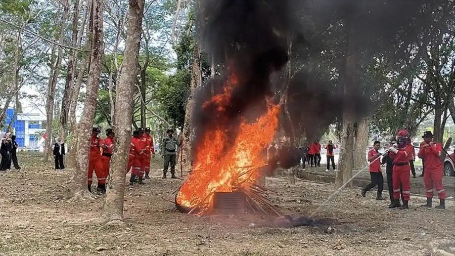 Waspada Karhutla di Sulawesi Tenggara: Kendari, Baubau, hingga Kolaka Masuk Kategori Berisiko Tinggi