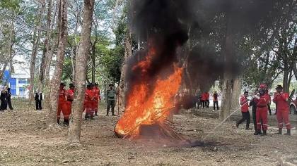 Waspada Karhutla di Sulawesi Tenggara: Kendari, Baubau, hingga Kolaka Masuk Kategori Berisiko Tinggi