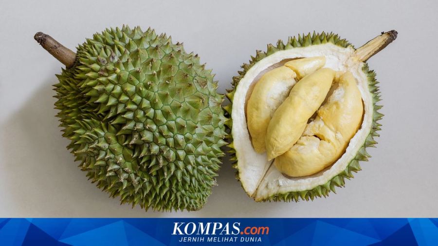 Nilai Ekspor Durian Vietnam Ditargetkan Tembus Rp 70,5 Triliun Tahun Ini