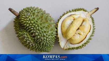 Nilai Ekspor Durian Vietnam Ditargetkan Tembus Rp 70,5 Triliun Tahun Ini