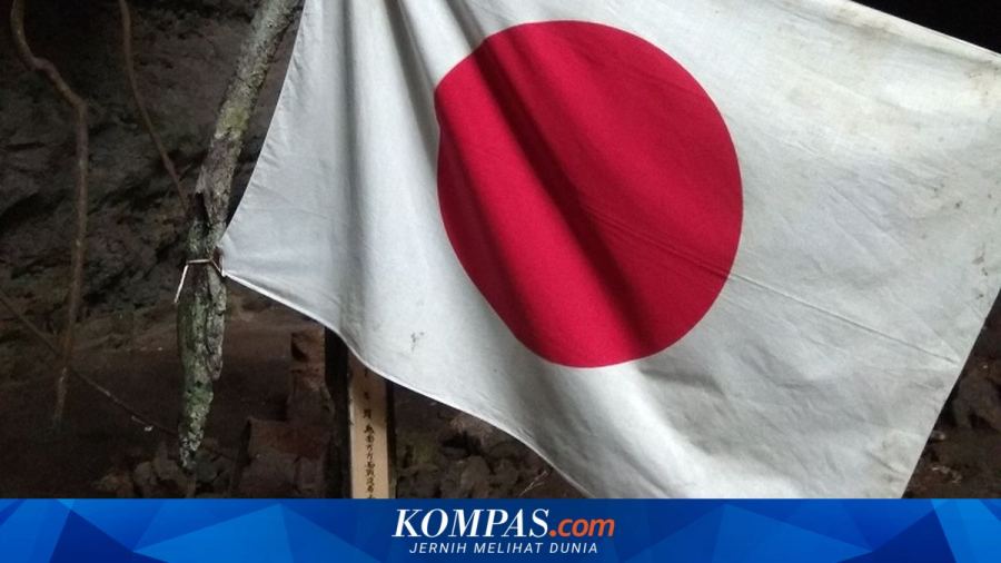 BNPB Nyatakan Jepang Siapkan 3 Helikopter Bantu Pemadaman Karhutla RI
