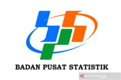 BPS alokasikan mayoritas anggaran 2027 untuk satker daerah
