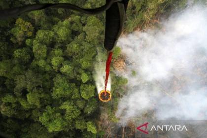 Hutan terbakar, biodiversitas dan DNA Sustainability ikut terancam