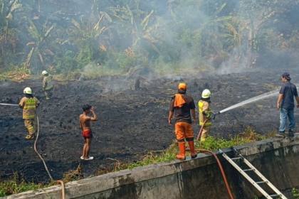 Gulkarmat padamkan kebakaran lahan 15 hektare di Penjaringan Jakut