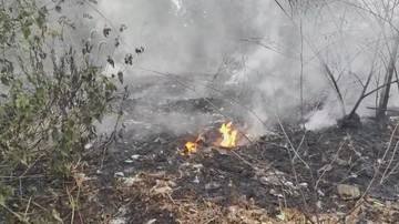 Terjadi Lagi Kebakaran TPA yang Berlangsung Berjam-jam