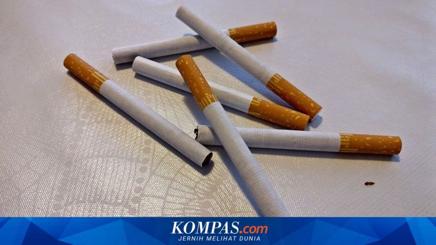 Kenaikan Cukai Rokok 50 Persen Berpotensi Tambah Penerimaan Rp 109,6 Triliun