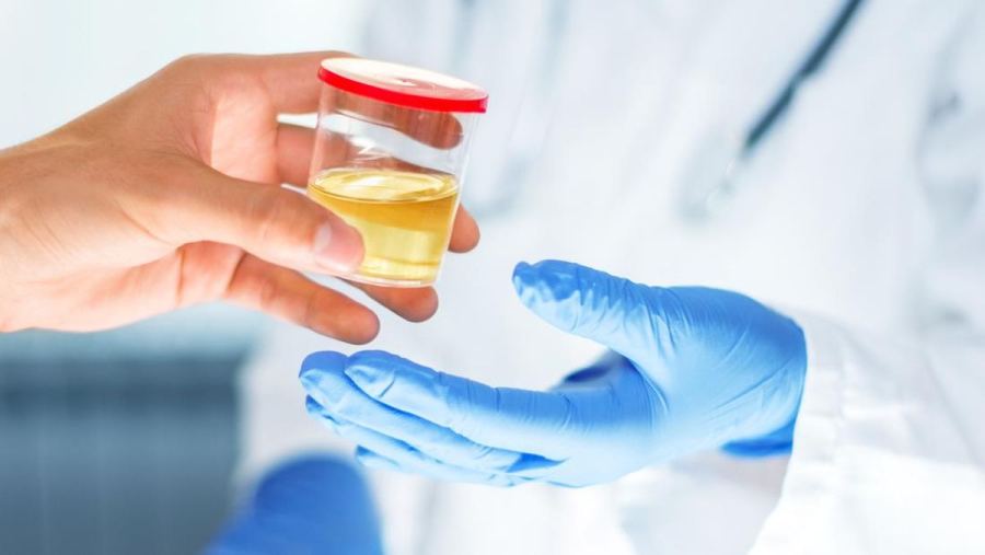 Minum Urine saat Terjebak di Laut, Apa yang Terjadi pada Tubuh?