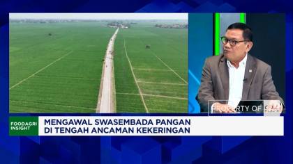 Vdieo: Kekeringan Ancam Petani, Perbaikan Bendungan - Irigasi Mendesak