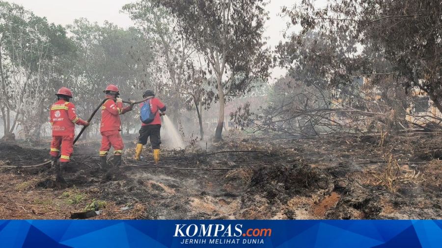 112 Orang Jadi Tersangka Karhutla, Polisi Ungkap Modus Pembukaan Lahan