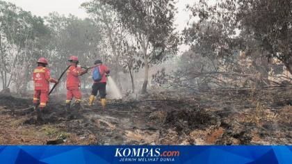 112 Orang Jadi Tersangka Karhutla, Polisi Ungkap Modus Pembukaan Lahan