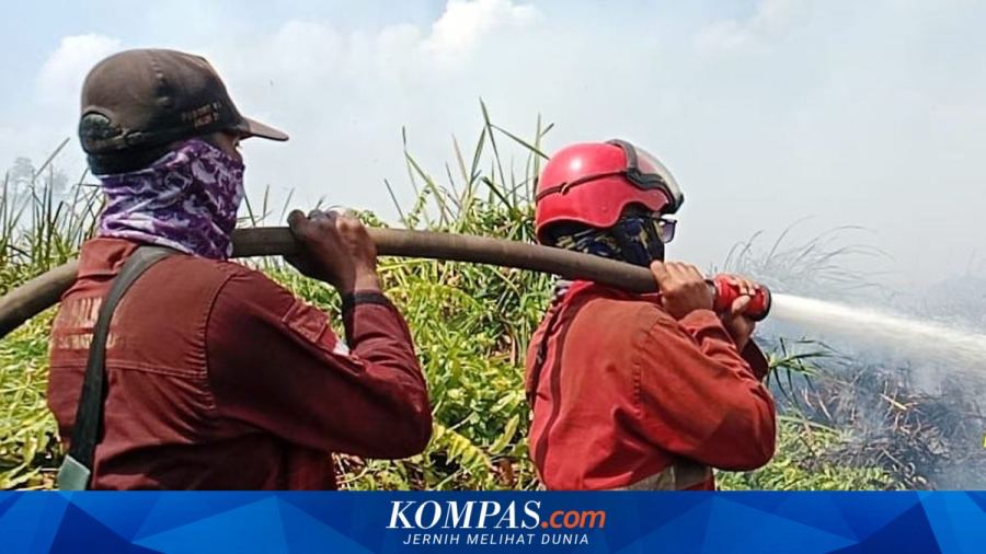 KSAD Maruli Klaim Penanganan Karhutla Tahun Ini Lebih Baik
