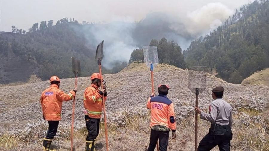 Bromo Kebakaran Lagi, Api Merambat ke Bukit Teletubbies
