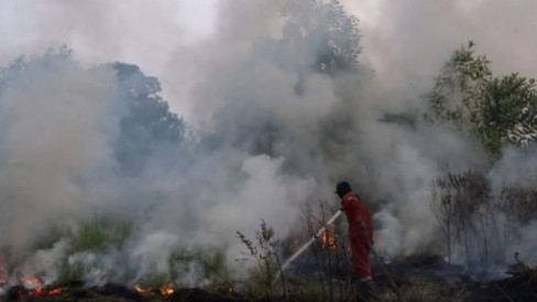 Merebak Kabut Asap Sepekan Terakhir, Kasus ISPA di Pontianak Meningkat 10 Persen