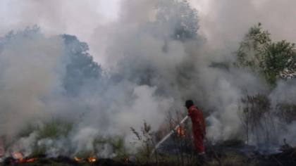 Merebak Kabut Asap Sepekan Terakhir, Kasus ISPA di Pontianak Meningkat 10 Persen