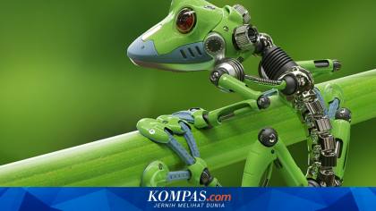 China Bikin Robot dari Otot Katak Asli, Dikendalikan Pakai Cahaya