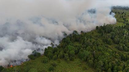 Gunung Lakawan Enrekang Terbakar, Petugas Kesulitan Padamkan Api