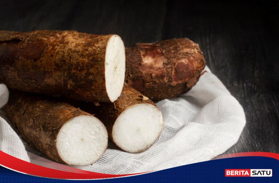 Harga Singkong Tembus Rp 3.000 per Kg, Indonesia Siap Ekspor Pekan Depan