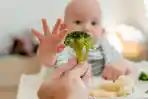 Anak Picky Eater dan Hanya Mau Makanan Tertentu? Begini Cara Membiasakannya