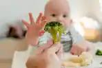 Anak Picky Eater dan Hanya Mau Makanan Tertentu? Begini Cara Membiasakannya