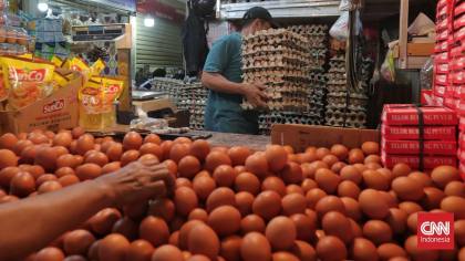 Zulhas Ungkap Harga Telur di Papua Rp60 Ribu, 2 Kali Lipat dari DKI