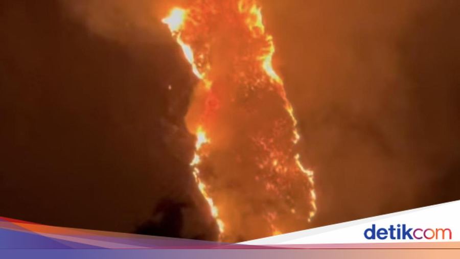 500 Hektare Lahan di Gunung Lakawan Enrekang Terbakar