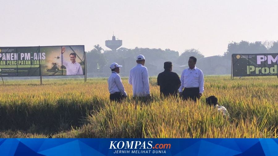 Padi Subang Pakai Teknologi Modern, Mentan Amran: Pendapatan Petani Naik Dekati Menteri