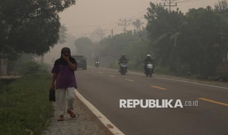 Karhutla Meluas, Kebutuhan Bantuan Beras di Kalimantan Dipetakan