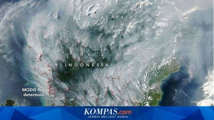 NASA Rilis Citra Satelit Kalimantan, Tertutup Asap Pekat dan Ratusan Titik Merah