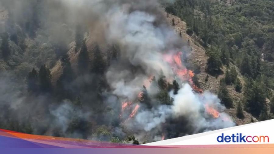 Sempat Padam, Titik Api Baru Kembali Muncul di Gunung Nona Enrekang