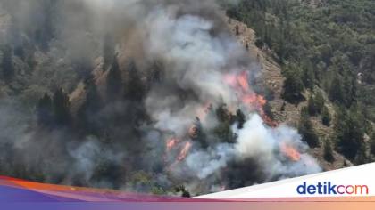 Sempat Padam, Titik Api Baru Kembali Muncul di Gunung Nona Enrekang